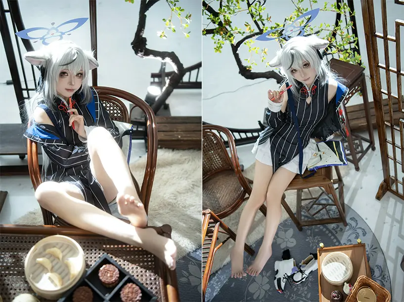 矢量鱼 | 高清写真图与视频【更新至 25 期】